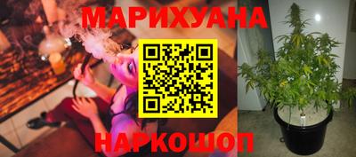 ГАЛЛЮЦИНОГЕННЫЕ ГРИБЫ Можга