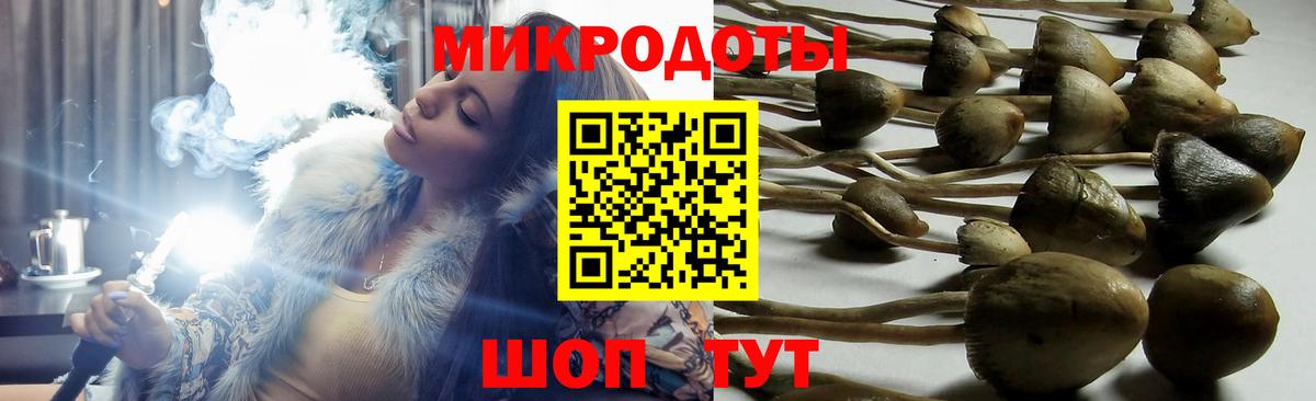 Галлюциногенные грибы мухоморы Удомля